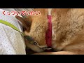 【再会。その後…】くっついていたい