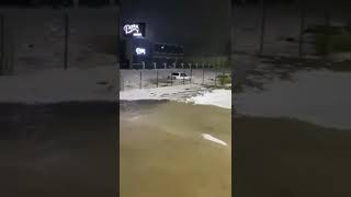 Gaziantep Sele Esir Oldu 3