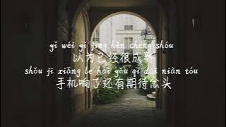【不知下落-丁芙妮 】BU ZHI XIA LUO-DING FU NI /TIKTOK,抖音,틱톡/Pinyin Lyrics, 拼音歌词,병음가사/No AD, 无广告,광고없음