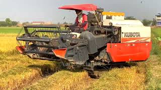 Great reaping machine but smart tillage machine  #Harvester #Farming #Tractor #2024