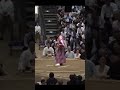 Дайэйсё VS Фудзинокава Natsu Basho 2026 Sumo #sport #japan #япония #сумо #wwe #sumo #mma #борьба