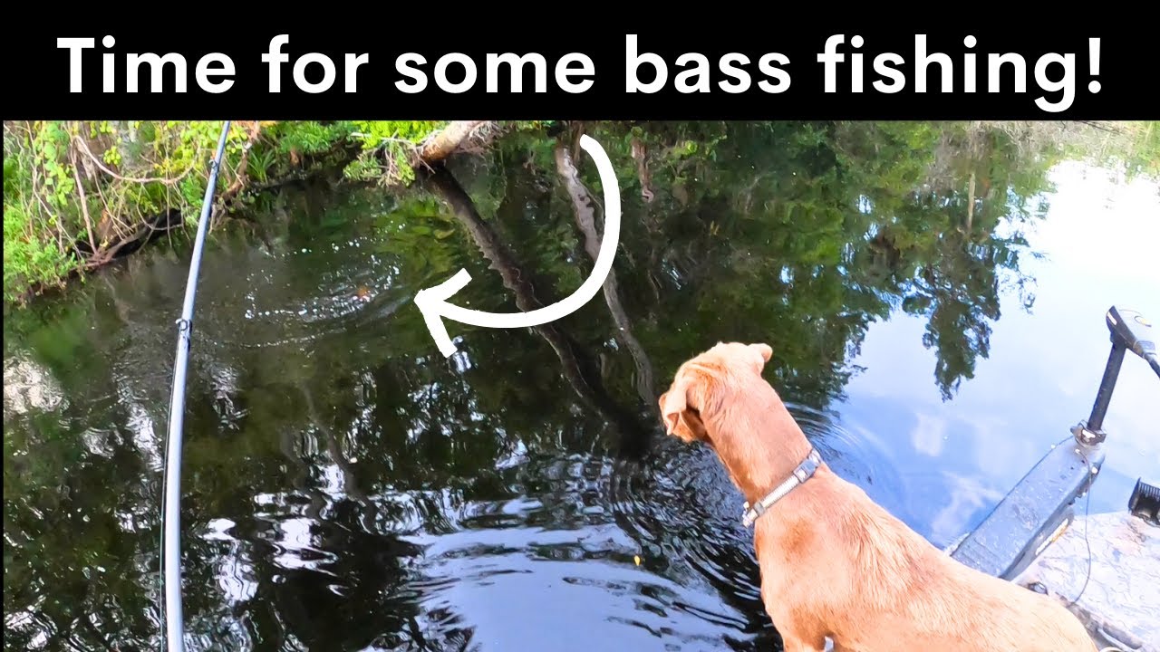 Time for some bass fishing! Gatortail Boats