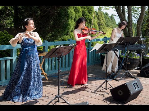 ソレイユトリオ～くじゅう花公園３