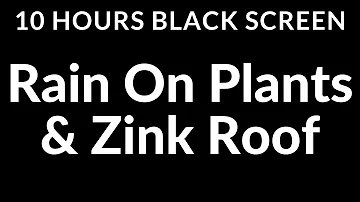 Unleash the Power of Healing Rain Sounds on Plants & Zink Roof for Restful Sleep | Black Screen