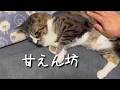 甘えん坊