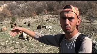 Eskişehir Seyitgazi Çürüttüm Yaylası Can Özdemir