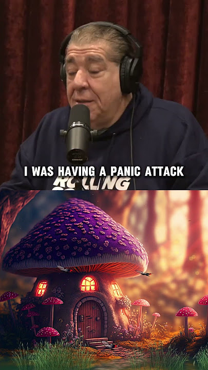 Funny Joey Diaz Having A Panic Attack On A Plane (Joe Rogan)