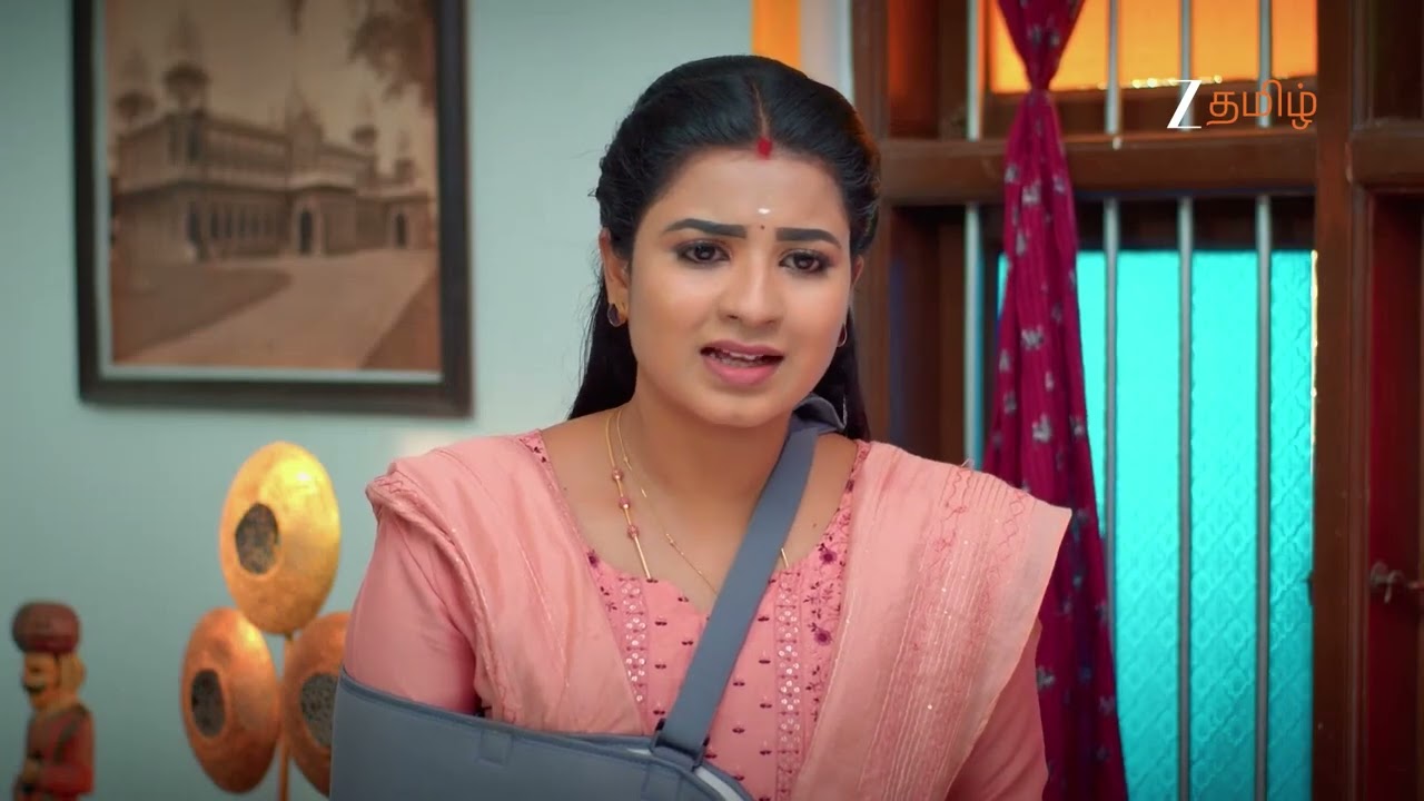 Karthigai Deepam | சூப்பர் ஹீரோ ராஜா for the save 🐱‍🏍| Ep - 852 | Webisode | Jun 10 2025 | Zee Tamil