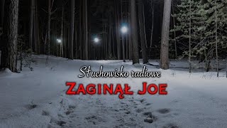 Zaginął Joe | Robert Długoborski | Słuchowisko radiowe