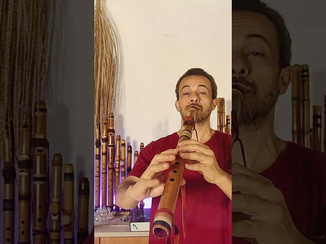 Test sonore | Flûte indigène | Style NAF | River Cane E 