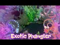 My Singing Monsters: Exotic Phangler (FAN MADE) 👻☠️🐟