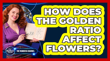 How Does The Golden Ratio Affect Flowers?