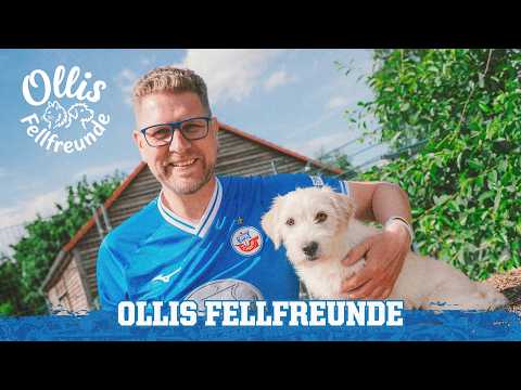 🐶 Ollis Fellfreunde #1 | F.C. Hansa Rostock Stiftung