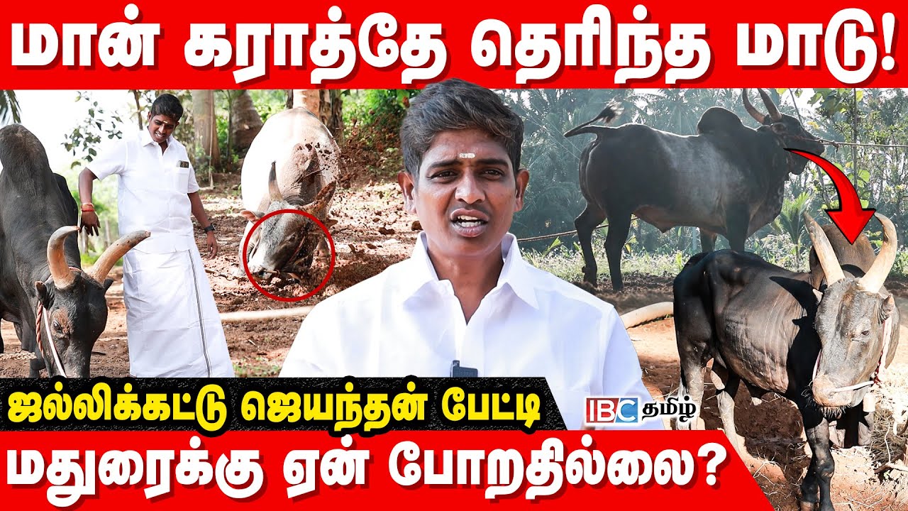 போட்டோ எடுக்கவே விடாது.. என் மேலயே பாய வரும்! - Sivagangai Jayanthan | Madurai | IBC Tamil