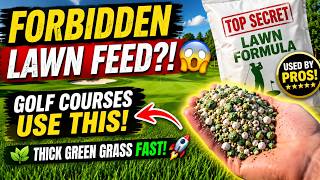 The “Forbidden” Lawn Fertilizer That Golf Courses Secretly Use for Deep Green Grass 🌱⛳