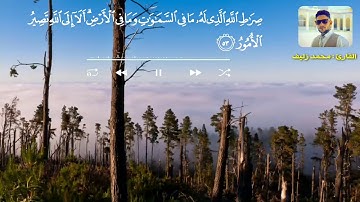 مقطع قصير أبهر الجمهور HD | القارئ محمد زليف السماوي