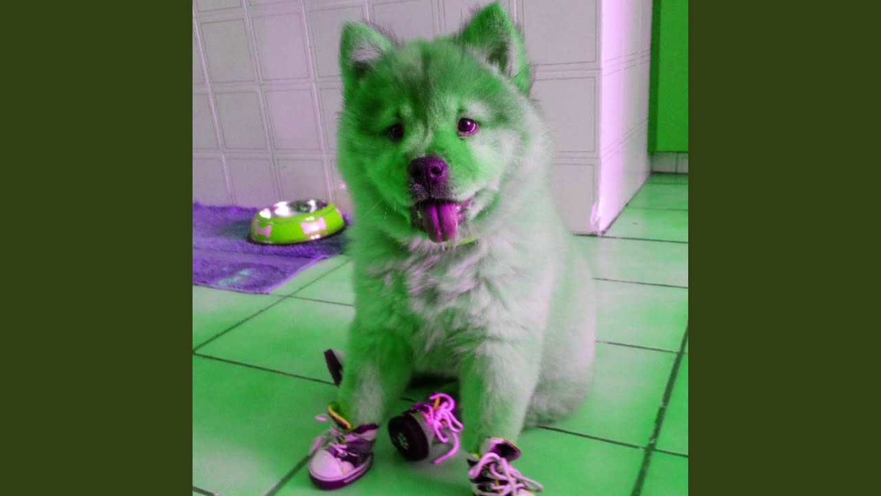 Beautiful Piano Jazz - Vibe for Doggy Evening Energy