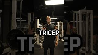 3 Best Exercises for TRICEPS #fitness #gym #triceps #workout #shorts