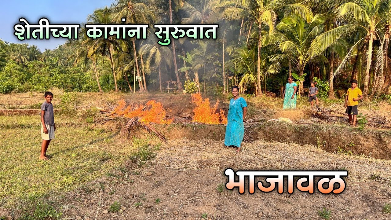 भात पेरण्याच्या आधी केली जाते भाजवळ|कोकणात शेतीच्या कामांना सुरुवात