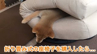 折り畳み式の座椅子を購入したらこうなりました