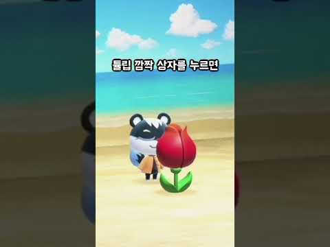모동숲 타란툴라 섬보다 돈 벨 을 더 많이 버는 교배꽃 섬이 있다 mp3 모동숲 타란툴라 섬보다 돈 벨 을 더 많이 버는 교배꽃 섬이 있다 Mp3