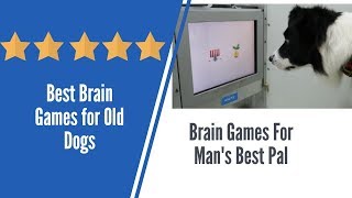 Brain Games for Dogs - dog brain teasers! (super cooper sunday #73)
