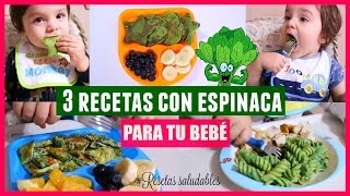 3 RECETAS FACILES Y SALUDABLES CON ESPINACA PARA BEBE O NIÑO|Reishel La Super Mamá