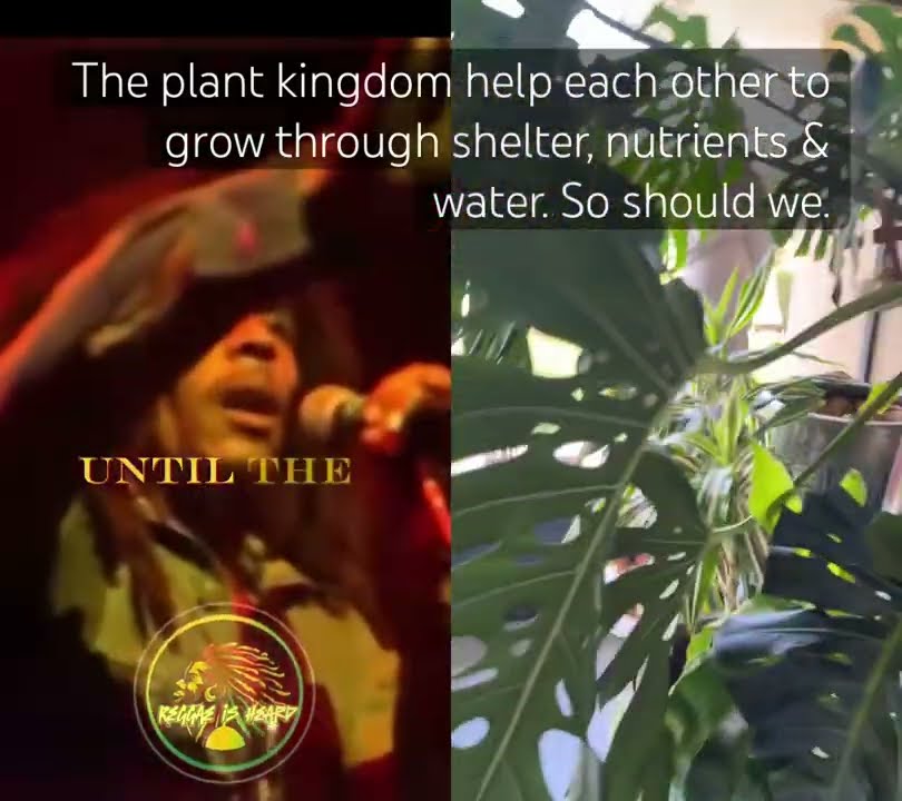 Bob’s message is still not understood. WHY???? - YouTube