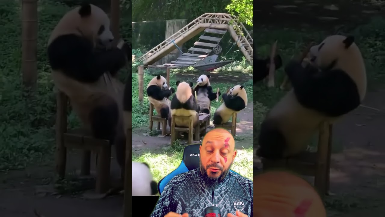 Kung fu panda pé de cana