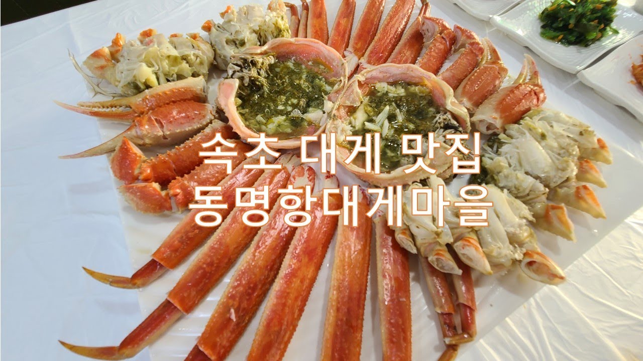 속초대게맛집 동명항대게마을