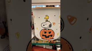 Snoopy Fall Mug’s 🍁 #homegoods