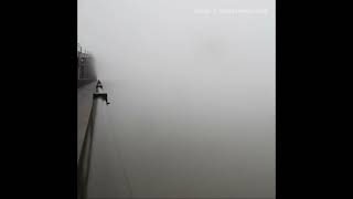 Duster - Untitled 2