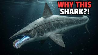 Why Did Helicoprion Go Extinct? | Prehistoric Shark Explained