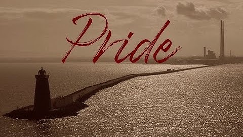 U2 - Pride☘️12 inch