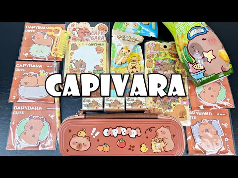 TUDO CAPIVARA! Papelaria Fofa e Guloseimas Diferentes