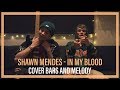 Shawn Mendes - In My Blood || Bars and Melody COVER