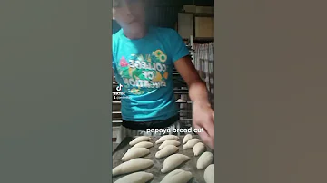 Bake Papaya Bread 