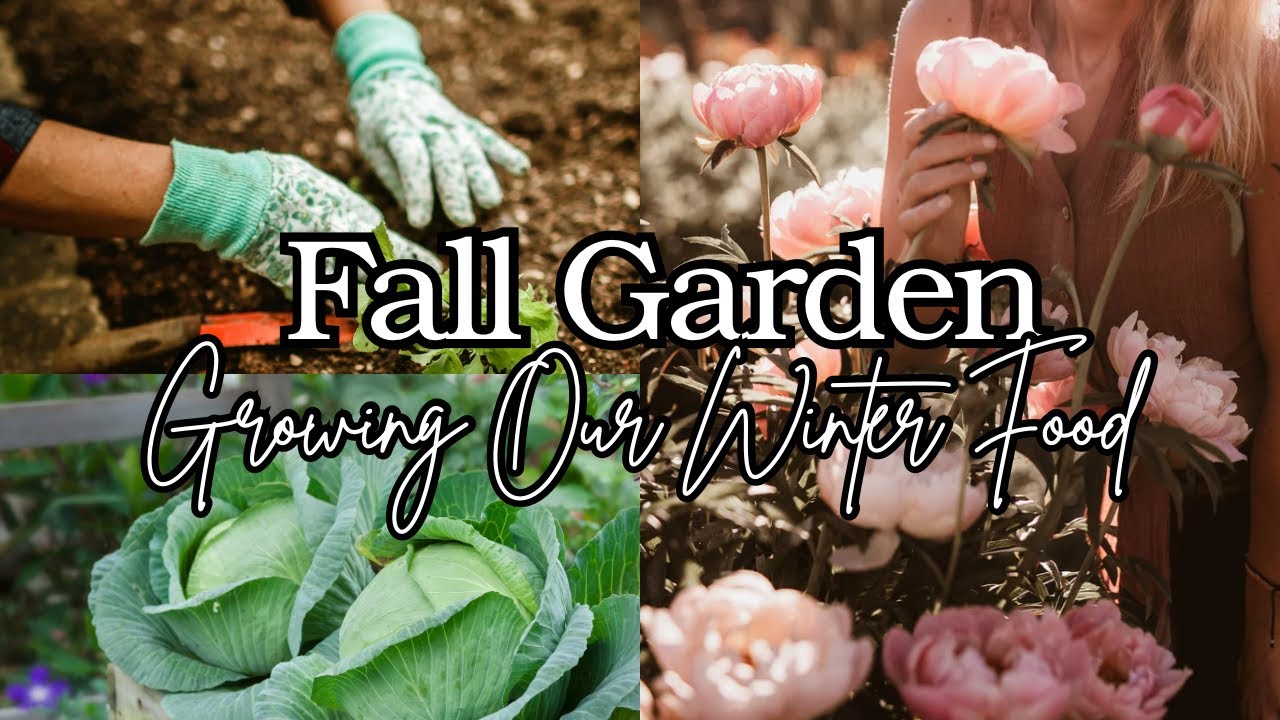 Fall Garden Planting | What I am Growing in Zone 6b - YouTube