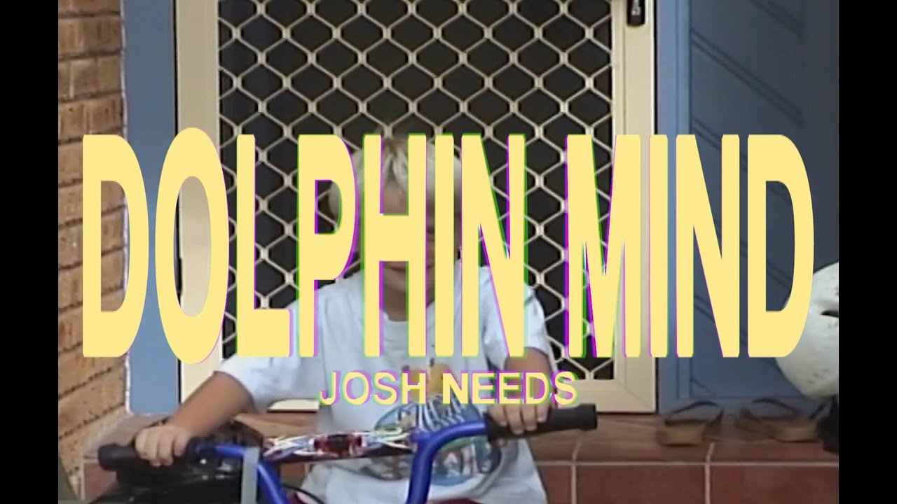 Josh Needs - Dolphin Mind bekijken op YouTube Josh Needs - Dolphin Mind bekijken op YouTube