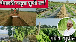 चितवनको नमुना फर्म || सरकारी अनुदान नलिने किसान (गणेश भुसाल )  || Abhiyan Bahumukhi Krishi Farm