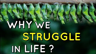 WHY WE STRUGGLE IN LIFE - the story of a butterfly - A Short Motivational Story - @Dare to Change