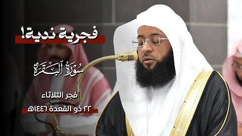 تلاوة ندية!🤍 من #سورة_البقرة | فجر الثلاثاء ٢٢ ذو القعدة ١٤٤٦ه‍ | فضيلة الشيخ #بدر_التركي