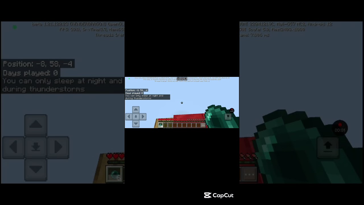 Minecraft ender pearl MLG 