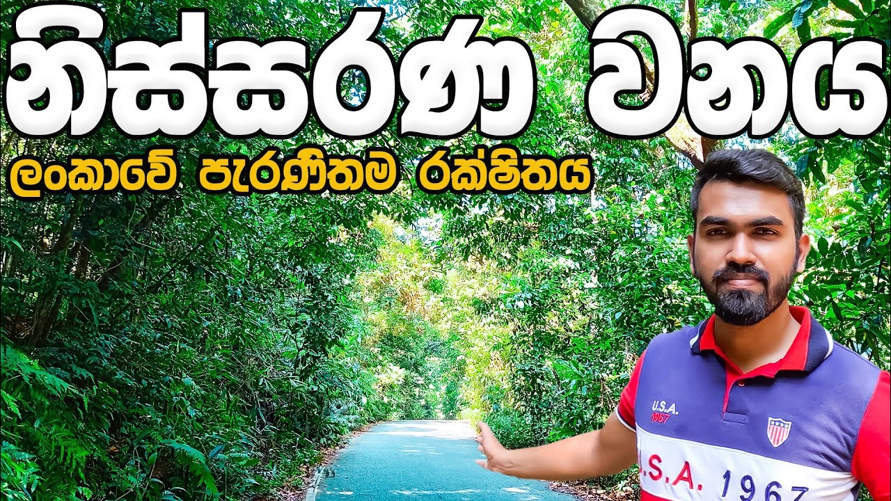 නිස්සරණ වනය | Nissarana Forest | Meethirigala | Vlog 6 🇱🇰