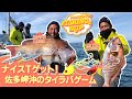 【フィッシングトリップ】ナイスTゲット！佐多岬沖のタイラバゲーム！