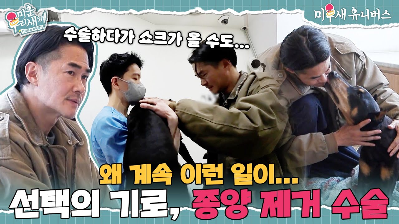 [하이라이트] '수술 중 사망 가능성···' 배정남과 벨에게 닥친 선택의 기로⚡ [미운 우리 새끼|250420 SBS방송]