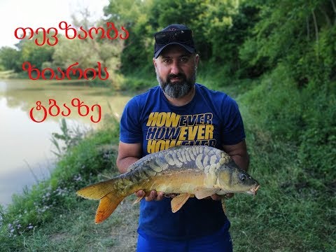 თევზაობა ზიარის ტბაზე 2019