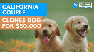 California Couple Successfully Clones Dog For $50,000
