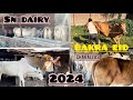 Sn dairy farm dankuni 2024 biggest cow of kolkata chakallas mamalog kolkata cow haat vlogs