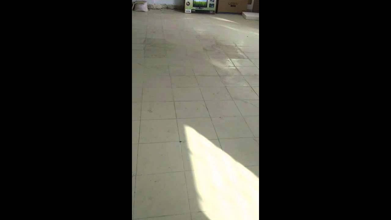 TuniBee fly for contunious 15mn